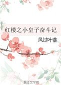 紅樓之小皇子奮鬥記